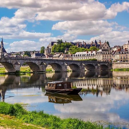 Appartement Haut Standing Proche Du Centre Ville, Vue Sur La Cathedrale Saint Louis Blois Ngoại thất bức ảnh